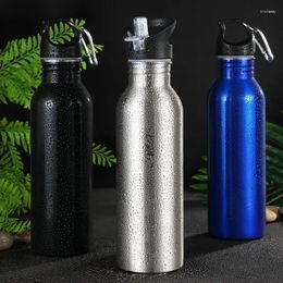 Bouteilles d'eau 750ml en acier inoxydable sans BPA, bouteille de sport en plein air, poignée Portable, couvercle, boucle d'alpinisme, bouilloire simple