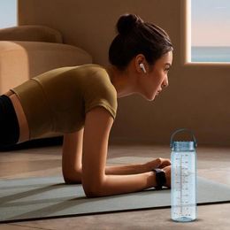 Bouteille de bouteilles d'eau bouteille 500 ml à l'épreuve des fuites à l'échelle Poignée portable pour les hommes Femmes Idéal Travel Gym Sports