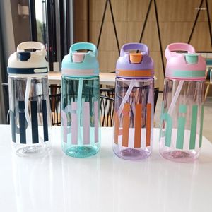 Bouteilles d'eau mignonne bouteille coréenne avec poignée en paille BPA 450/550ml grande capacité en plastique café lait jus Portable à boire