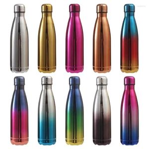 Bouteilles d'eau isolantes, marque tendance, bouteille de sport, galvanoplastie dégradé, acier inoxydable, créativité