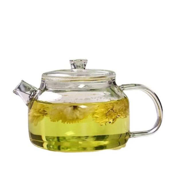 Bouteilles d'eau Théière en verre transparent de petite capacité avec filtre résistant à la chaleur bouilloire à thé ménage Kung Fu Pot Teaware 231214