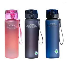 Bouteilles d'eau bouteille de sport de gymnase de gymnase portable 560 ml