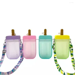 Bouteilles d'eau, filet de haute couleur, glace rouge, paille de Popsicle, tasse en plastique, verres portables pour enfants