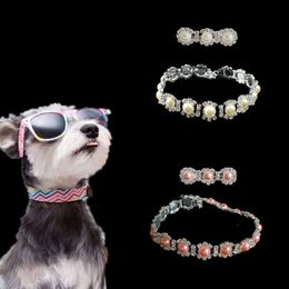 Collar de perlas de diamantes de agua, joyería, Collar para mascotas, accesorios para perros pequeños y gatos