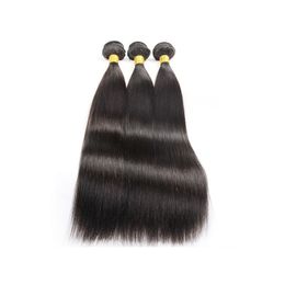 Watergolf Straight Menselijk Haar Weave Body Wave Cuticle Signed Hair Free Ship Wholese Maagd inslag Maleisische Braziliaanse nertsen Haarbundels