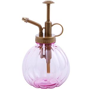 Équipements d'arrosage 1Pc belle rétro Mini plante brouillard eau vaporisateur bouteille avec pompe petit arroseur maison jardin fournitures