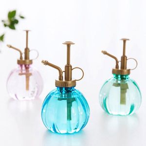 Watering Equipments 350 ml Plant Flower Pot Spray Bottle Sprayer Plant Succulends Kettle voor tuin Kleine gereedschappen benodigdheden