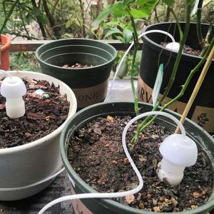 Équipements d'arrosage Irrigation goutte à goutte automatique avec tuyau pour plantes Serre à fleurs Voyager Paresseux Aide Dispositif de jardin domestique