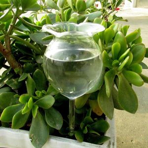Équipements d'arrosage intérieur automatique fleur verre jardin plante dispositif arroseur bouteille d'eau saupoudrer