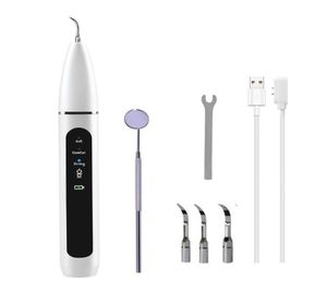 Outils de toilettage pour animaux de compagnie sans eau pour le blanchiment des dents, batterie rechargeable portable, charge USB, vibration haute fréquence 5 V5296805