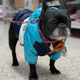 Veste imperméable pour gros chien, vêtements chauds d'automne et d'hiver pour petits et grands chiens, manteaux à capuche pour bouledogue français, combinaison Yorkshire 240106