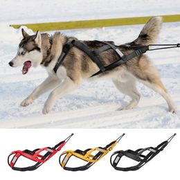 Harnais de traîneau pour chiens étanche harnais réfléchissant pour animaux de compagnie harnais de skijoring pour grands chiens gilet de traction de poids pour la formation des animaux de compagnie 240115