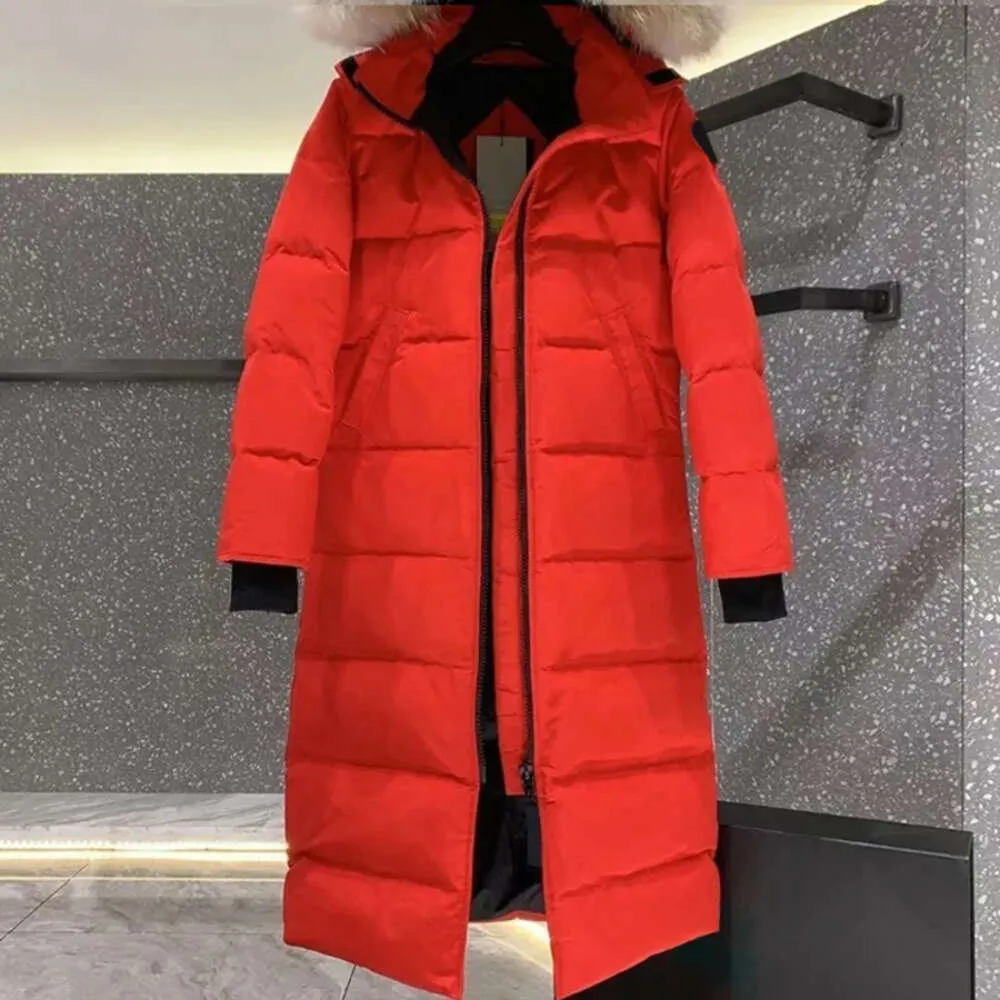 Puff 2023 Designer Jacket Kvinnor Canadian Goose Winter Parka Fashion Letter Windproof Warm Down Par Sweatshirt395495