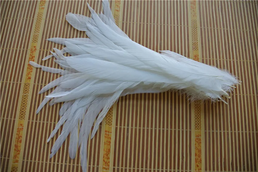 Whole lot 1214inch pure White Coque rooster hackle tail Feather for Crafts decor2098920