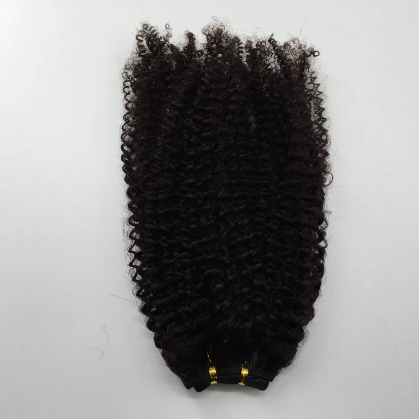 Cheap Peruvian Brazilian Hair Wefts Afro Kinky Curly Hair Weaves Human Hair Extension 2Bundles Fast 