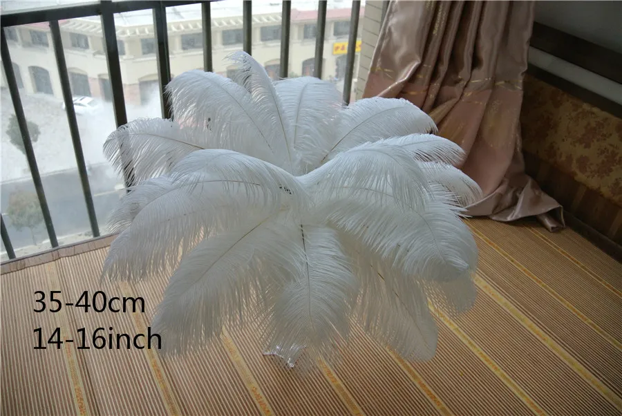 Wholesale Party &Wedding Decoration High Quality Fluffy Natural Ostrich  Feathers - China Feathers and Wholesale Ostrich Feathers price