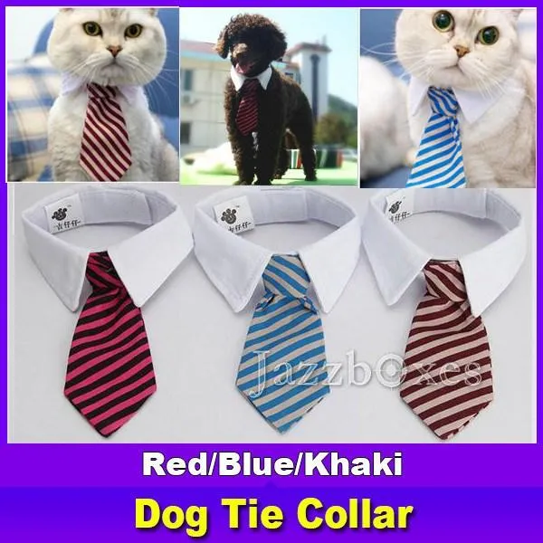 dog Tie collar