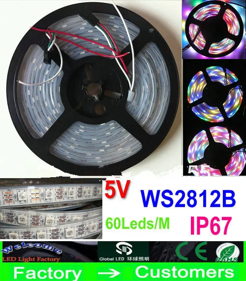 5M 5V 60Led/M 300LEDs programmable WS2812B RGB 5050 LED strip Digital Individually addressable magic dream color Waterproof IP67