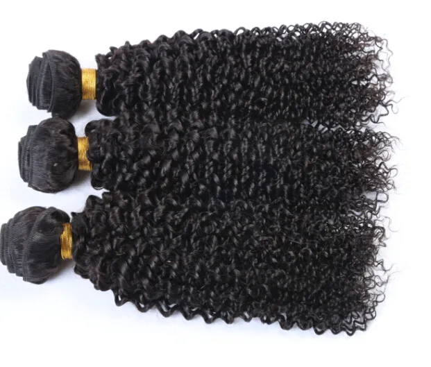 Capelli umani vergini brasiliani di qualità 8A Peruviano malese indiano Remy tessuto dei capelli umani estensioni dei capelli onda d'acqua 1 pezzo lotto6633694