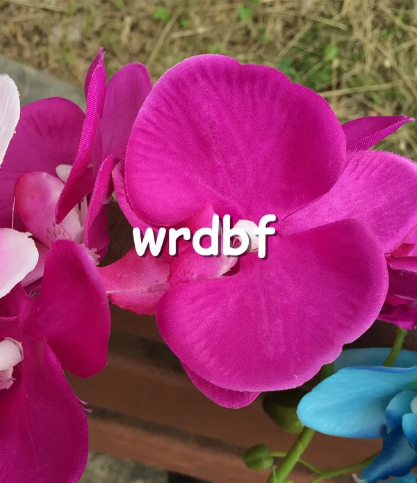 Flores artificiales de la orquídea de la orquídea de un solo tallo de seda Mini Phalaenopsis Orquídeas de mariposa rosa / crema / fucsia / azul / verde Color