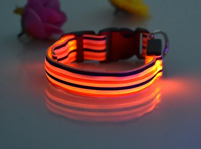 New arrival colorful stripe design collar Pet Dog Safety LED Collar LED Light up Flashing