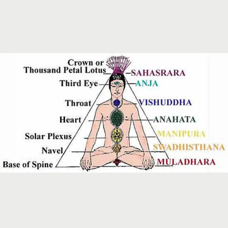 7 Chakra Reiki Healing Halskette Buddha Yoga Meditation Anhänger