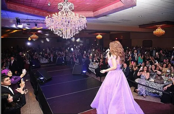Vintage Lebanese Najwa Karam Celebrity Prom Dress Saudi Arabia Dubai Ball Gown Lilac Sheer Neck Lace Lebanon Long Evening Party Gowns