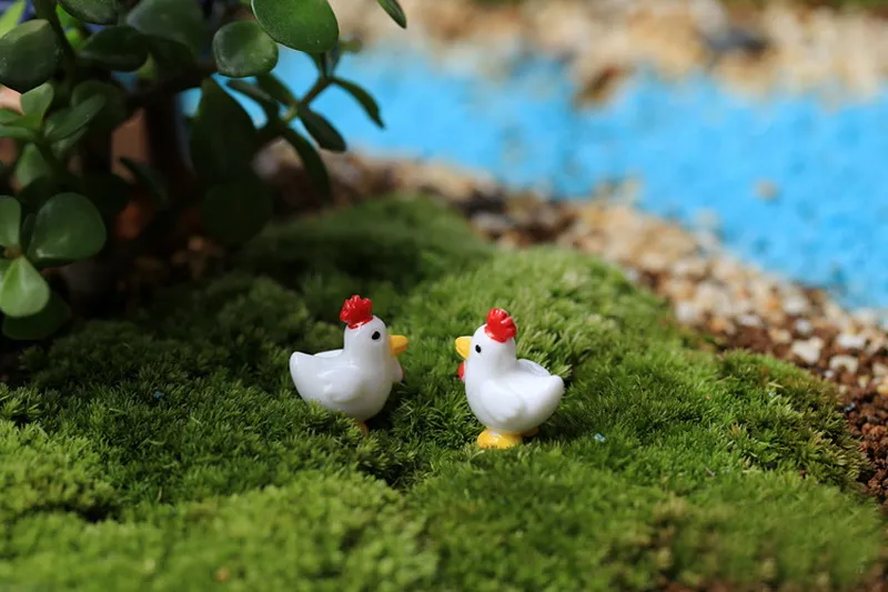 Mini animaux coq blanc, artisanat féerique, Miniatures de jardin, Terrariums en mousse, Figurines en résine pour décoration de jardin