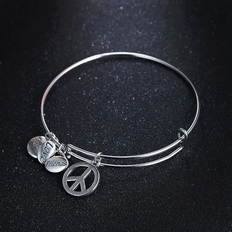 Moda rozszerzalne bransoletki dla kobiet przyjaciół kochają urok rodziny srebrna bransoletka przyjaźń biżuteria1810215