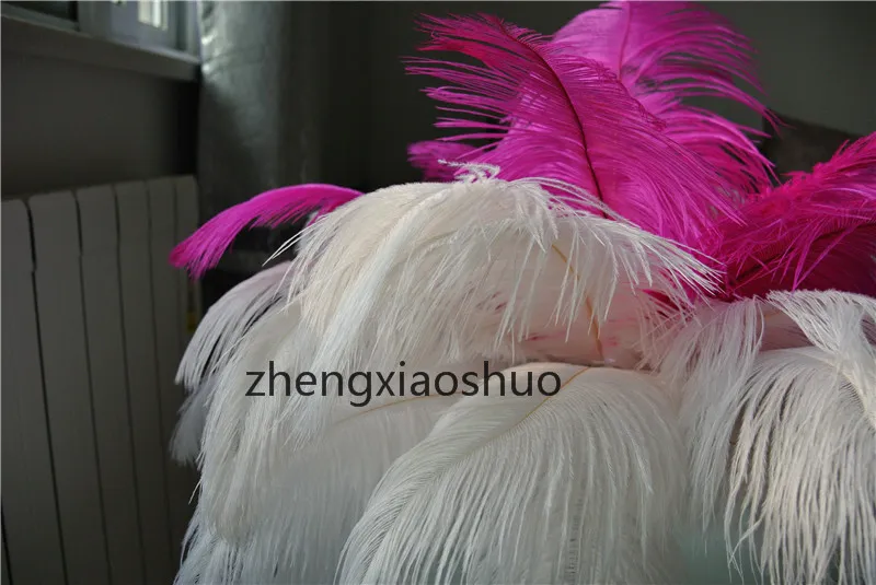 Darmowa Wysyłka 100 sztuk / partia 14-16inch 35-40 cm Hot Pink and White Ostrich Pióra Plumes Ślubne Centrum Ślubne Piór Wystrój Domu Decor