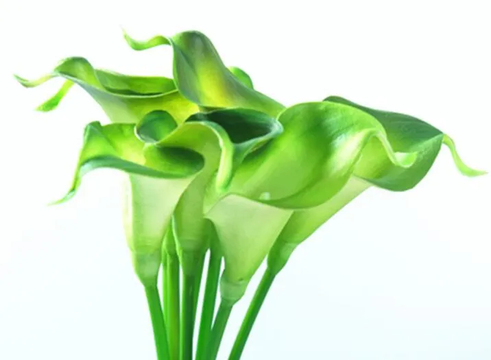 Mini Calla Lily For Wedding Bouquet Artificial Flower Real Touch For Home Wedding Party HP008