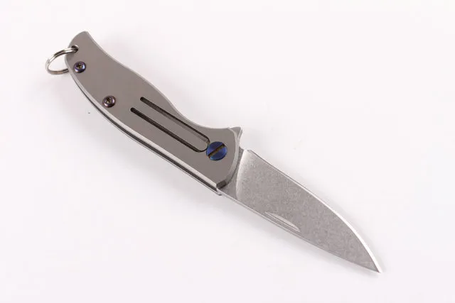 Utsökt Mini Pocket Folding Kniv D2 Stålblad Titan Alloy Handtag Camping Survival EDC Keychain Knifes