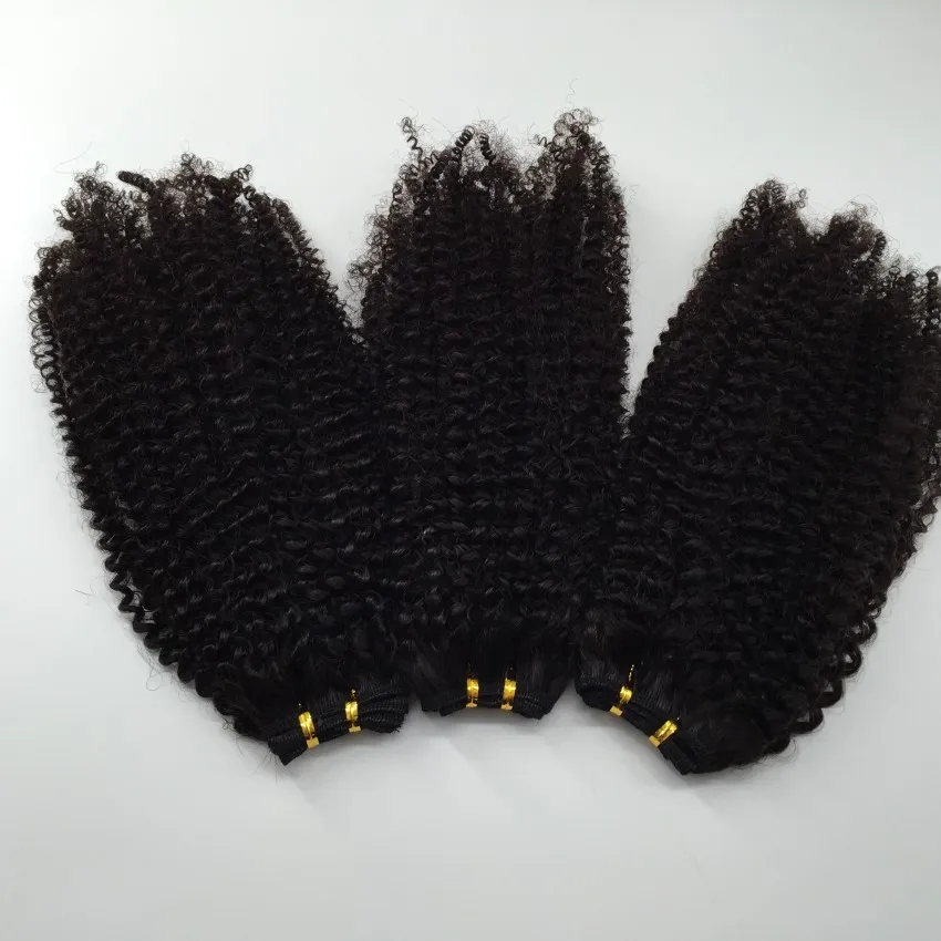 Cheap Peruvian Brazilian Hair Wefts Afro Kinky Curly Hair Weaves Human Hair Extension 2Bundles Fast 