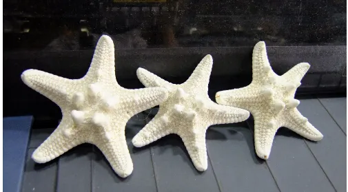 2015 Nuovo! monili della forcella della clip di capelli della stella di mare delle stelle marine dell'accessorio dei capelli della spiaggia delle ragazze delle donne 10pcs /lot nuovi Nizza