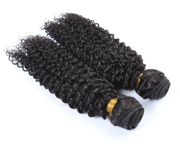 8A Quality Brazilian Virgin Human Hair Peruvian Malaysian Indian Remy Human Hair Weave Water Wave Hair Extensions Lot1963684