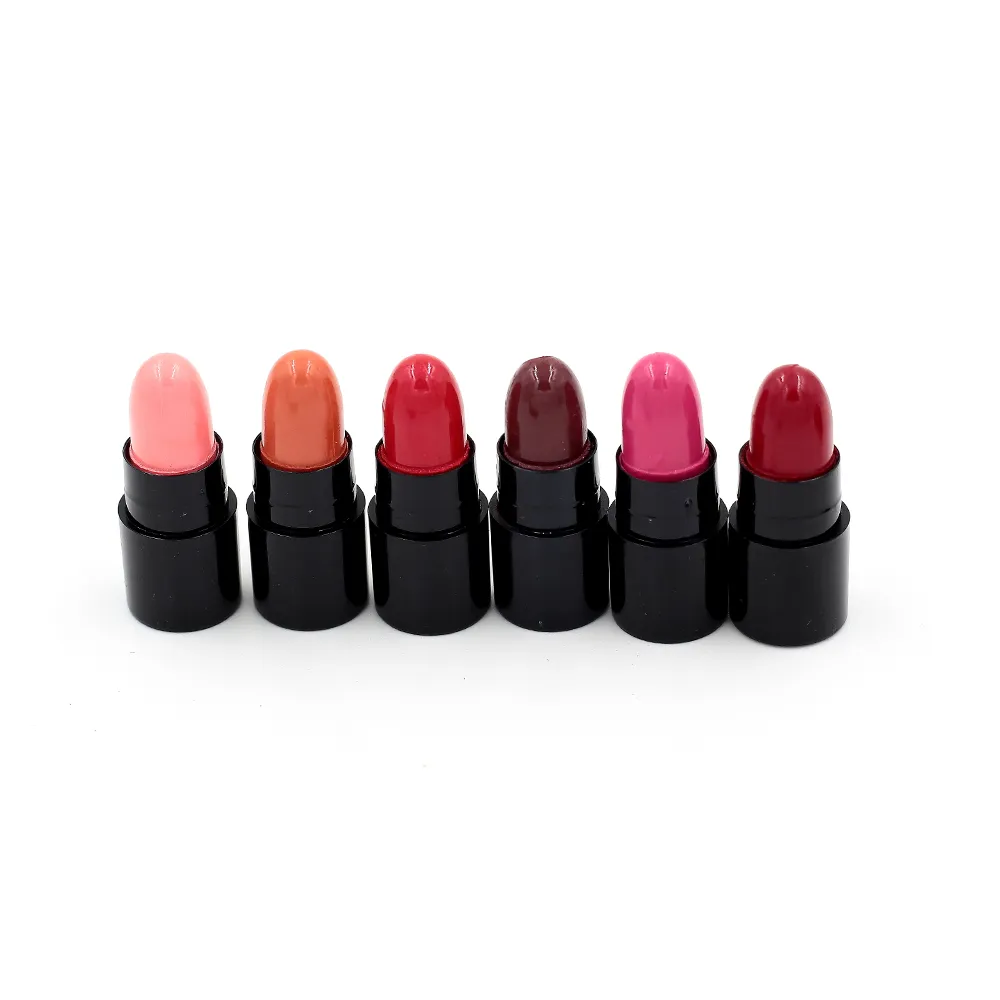 Mini Lipstick Makijaż Szminki Małe Wysokiej Jakości Pała 72 sztuk / partia 12 Kolory Makijaż Szminka Zestaw Lip Stick Lip Tint Net 1.2g 9022