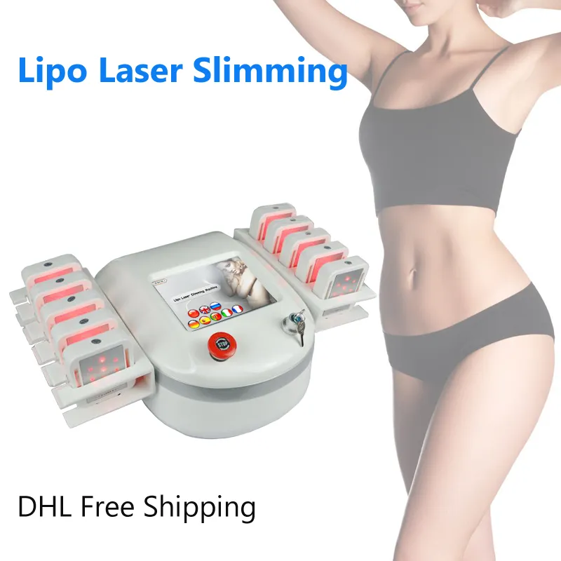 Wysokiej Jakości Zimny ​​Laserowy Utrata Waga Ciała Rzeźba Slim Belly Fat Usuwanie 10 Łopata diod Lipolaser Lipoliza Strona główna Salon Użyj maszyny