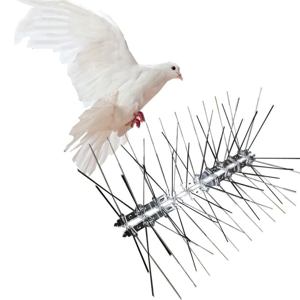 Clous Anti Oiseaux En Acier Inoxydable De 25cm Qui Respecte Lenvironnement  Anti Clou De Pigeon Outil De Dissuasion Doiseaux Pour Les Pigeons Hibou  Petite Clôture Pour Oiseaux Du 16,67 €