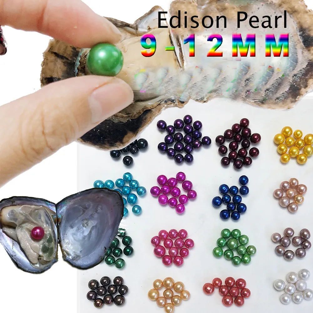 Edison Pearl Oyster Round 9-12mm 16 Mix Farben Süßwasser Natural kultiviert in frischer Austernperlen Muschel Farm Supply
