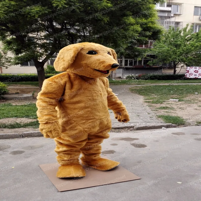 Labrador christmas costume sale