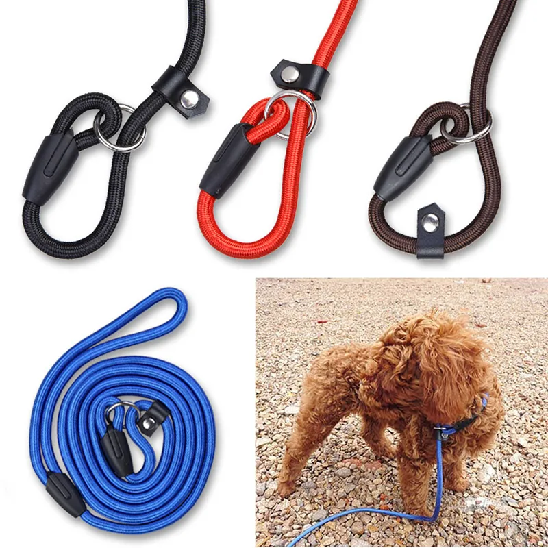 Pet Dog Nylon Rope Training Leases Slip Lead Strap Justerbar dragkraft Hundar Ropes Tillbehör Diameter 1.0 cm