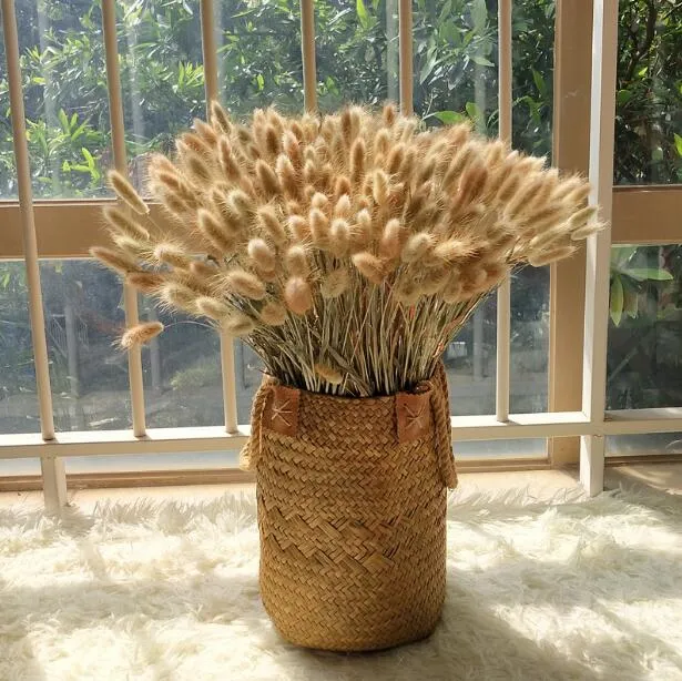 50 Pcs Dried Natural Oat Ear Bouquets - Dried Flower Bunches For Rustic Home Decor