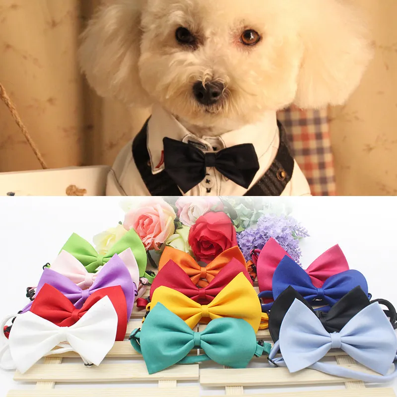 Mode Pet Dog Bow Tie Réglable Pet Cravate Mignon Chat Collier
