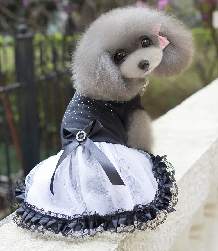 2019 Chien Robe Tutu Robe En Dentelle Mignon Chat Cat Princesse Vêtements Vêtements Robe De Soirée Pour Chien Noir Couleur Livraison Gratuite