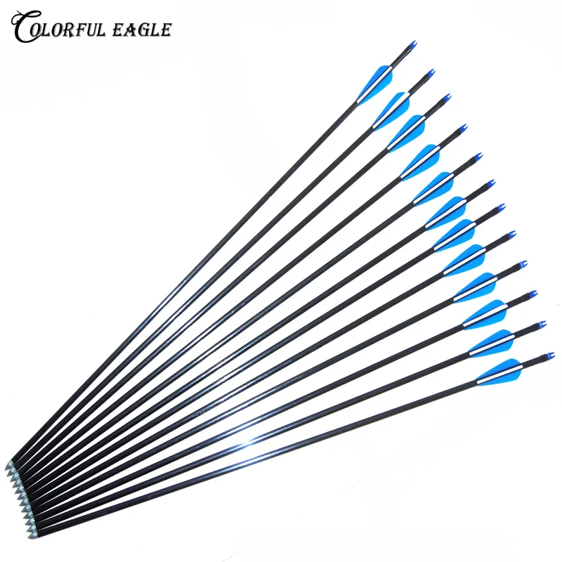 12PK New Archery fiberglass arrows with nocks proof Fiber Glass Shaft for compound bow & recurve bow target practice shooting