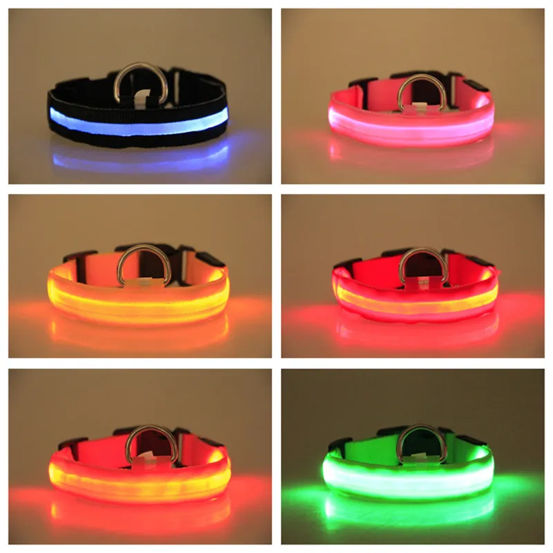 PetSafe LED Safety Collar Nylon, Glow In The Dark, Flashing, S XL