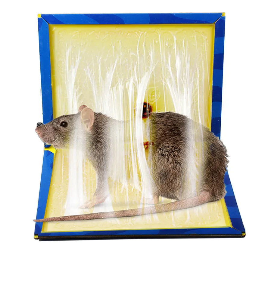 Large Size Mice Mouse Rodent Catcher Rat MouseTraps Indoor Super Sticky Mice  US