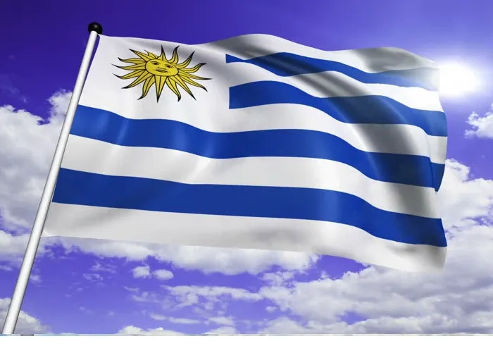 Uruguay Flag 3x5 ft Custom Country National Flags of Uruguay 5x3 Polyester Print High Quality Flying Hanging 0.9x1.5m Flag Banners