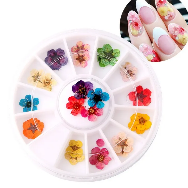 Nail Art Dried Flowers - 3D Real Dry Flowers In Wheel Box Mini Real Natural Nail Supplies Tips Manicure Decor