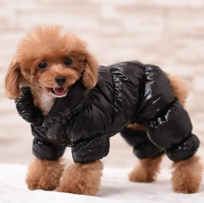 애완 동물 강아지 의류 두꺼운 반짝이는 방풍 재킷 애완 동물 얼굴 힙합 코트 가을 겨울 패션 스웨터 조끼 옷